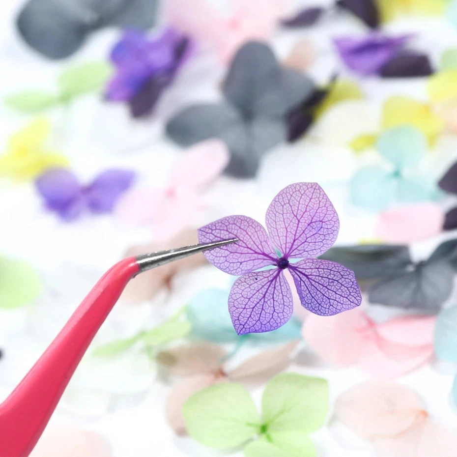 1Box Real Dried Flower Nail De - огляд і ціна Dried Flower Bulk