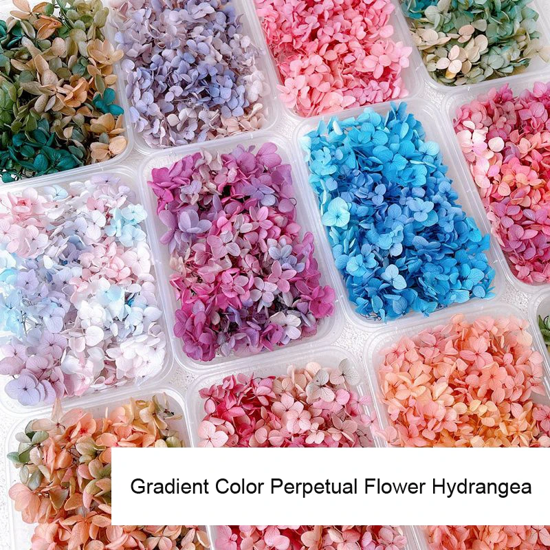 1Box Real Dried Flower Nail De - огляд і ціна Dried Flower Bulk