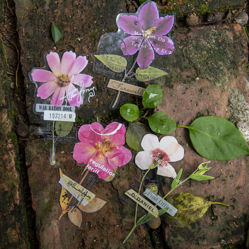10 Pcs/Pack Corner Flower Hous - огляд і ціна Dried Flower Bulk