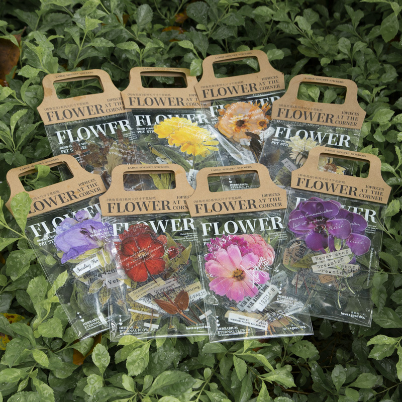 10 Pcs/Pack Corner Flower Hous - огляд і ціна Dried Flower Bulk