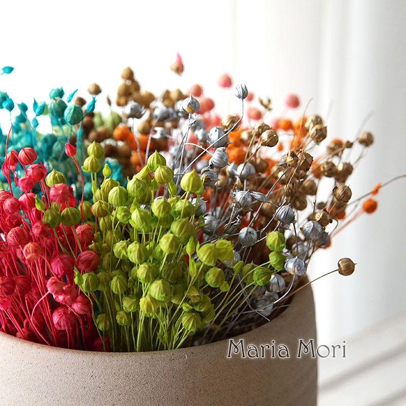 5g Preserved Flax Bean Natural - огляд і ціна Dried Flower Bulk