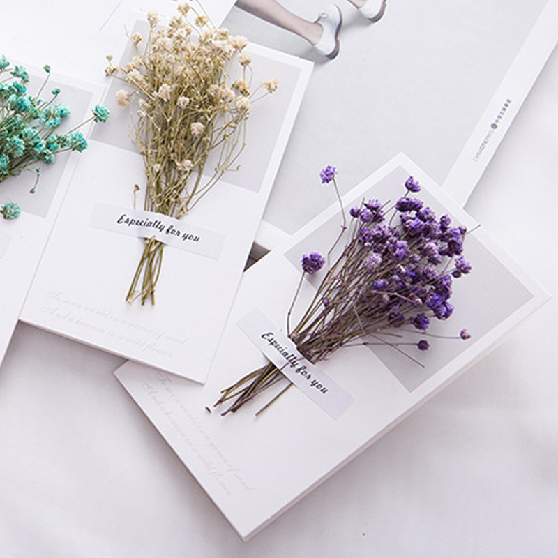 10pcs A Gift Card Wedding Invi - огляд і ціна Dried Flower Bulk