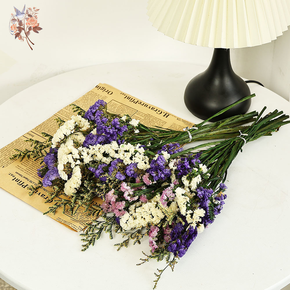 100g Natural Real Forget-me-no - огляд і ціна Dried Flower Bulk