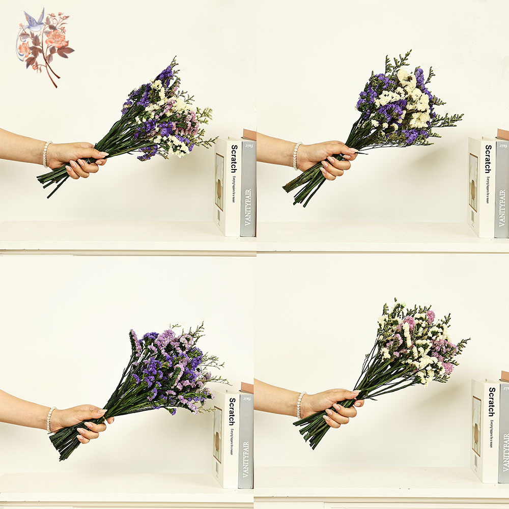 100g Natural Real Forget-me-no - огляд і ціна Dried Flower Bulk