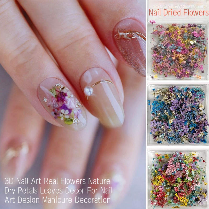Mixed Small Dried Flowers Nail - огляд і ціна Dried Flower Bulk